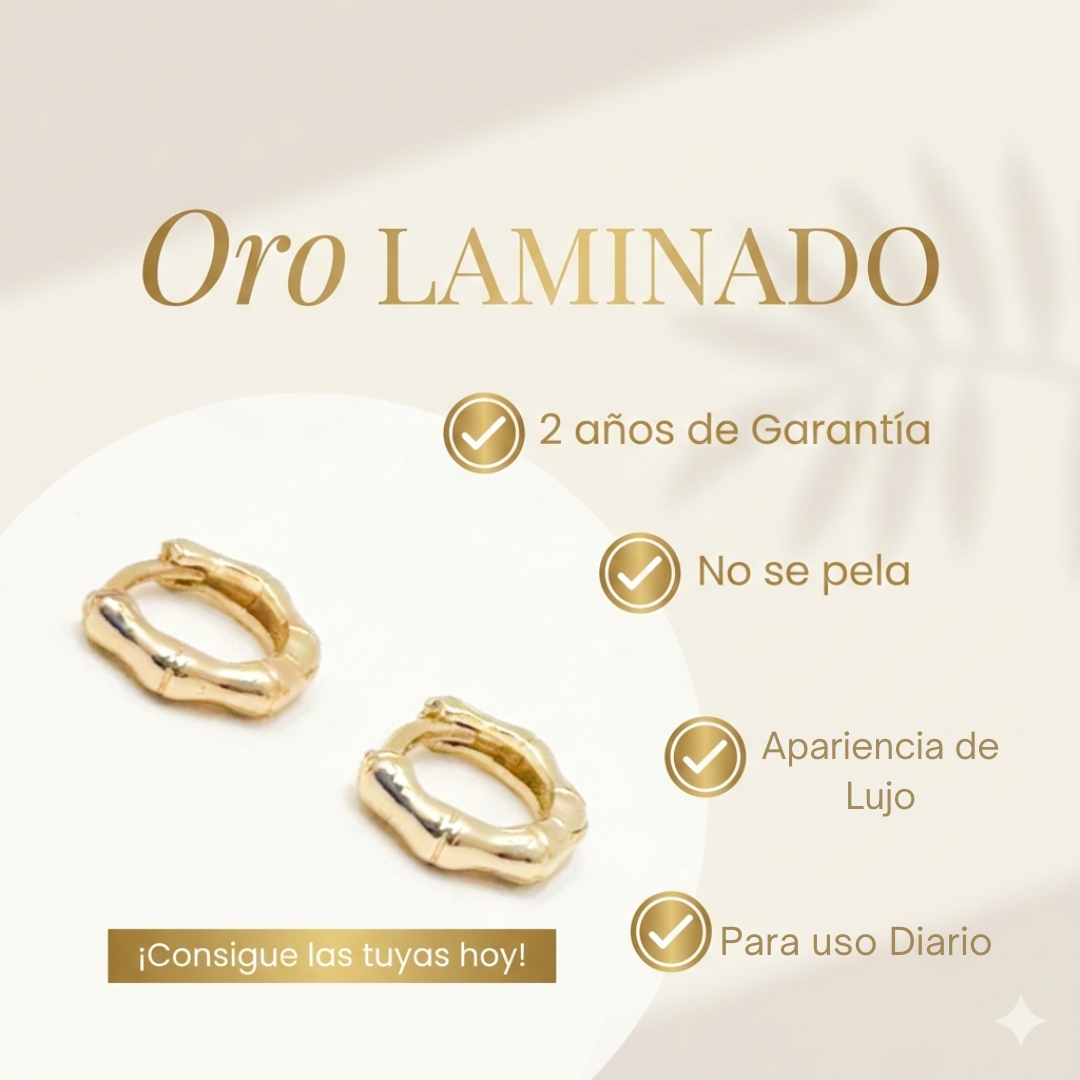 Topo Oro Laminado Circón