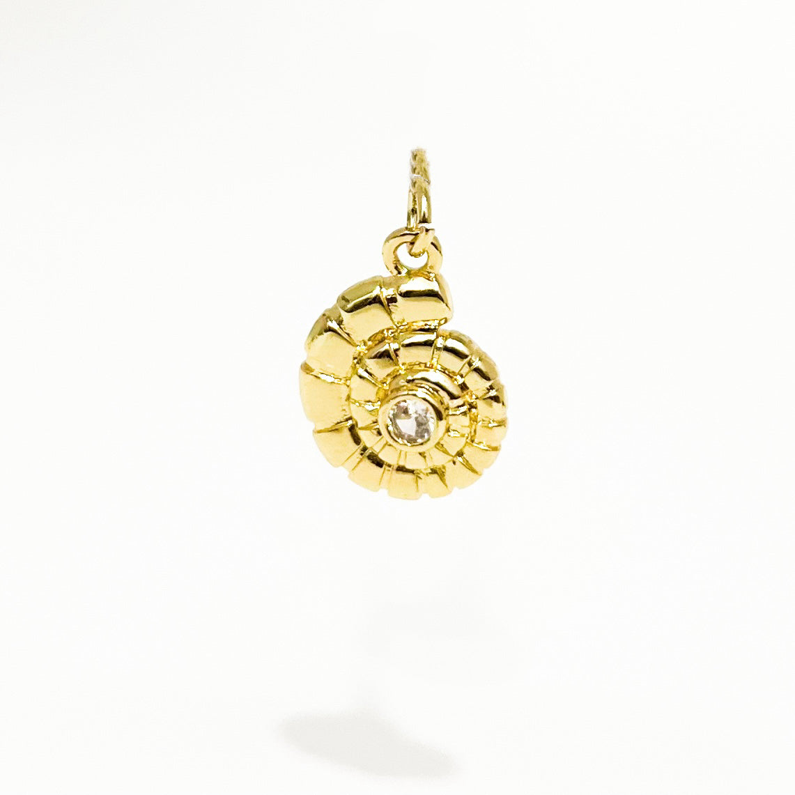 Caracol en espiral 🐚