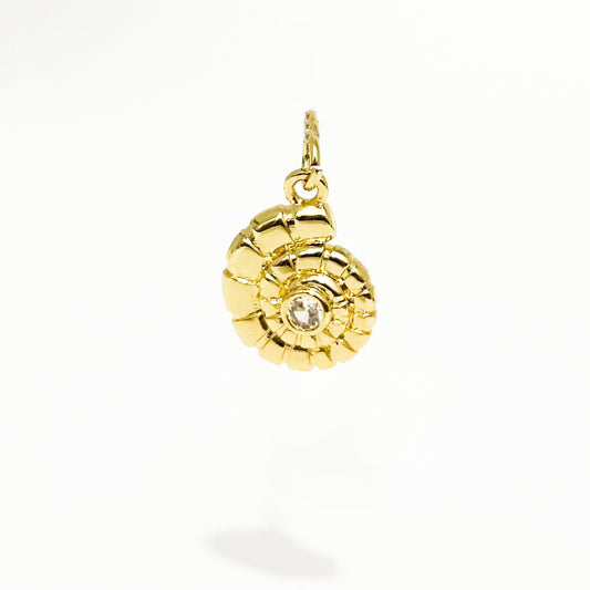 Caracol en espiral 🐚