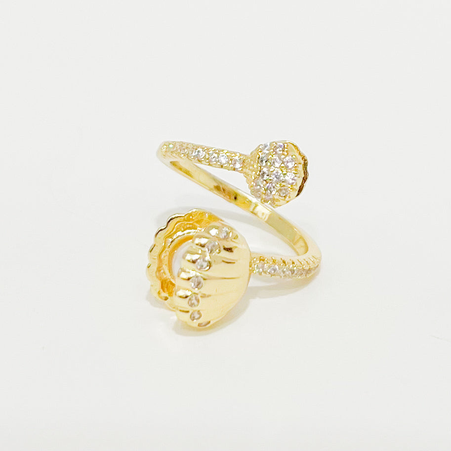 Anillo Conchas