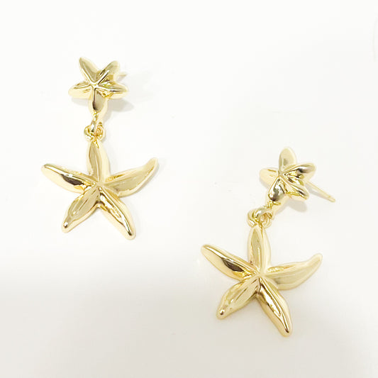 Arete Doble Estrella