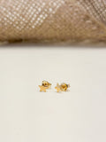 Topo Oro Laminado Estrella Mini