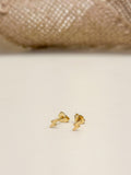 Topo Oro Laminado Rayito Diamantado