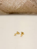 Topo Oro Laminado Rayito Diamantado