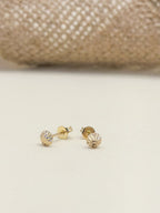 Topo Oro Laminado Diamantado