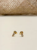 Topo Oro Laminado Microzircones