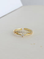 Anillo Doble Microzircones